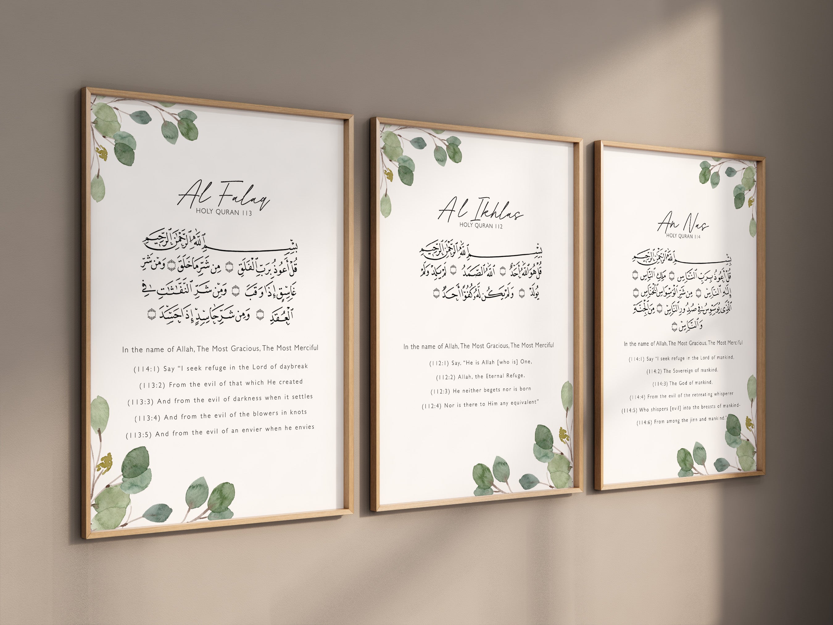 Eucalyptus Quls with Translation Trio - Signy