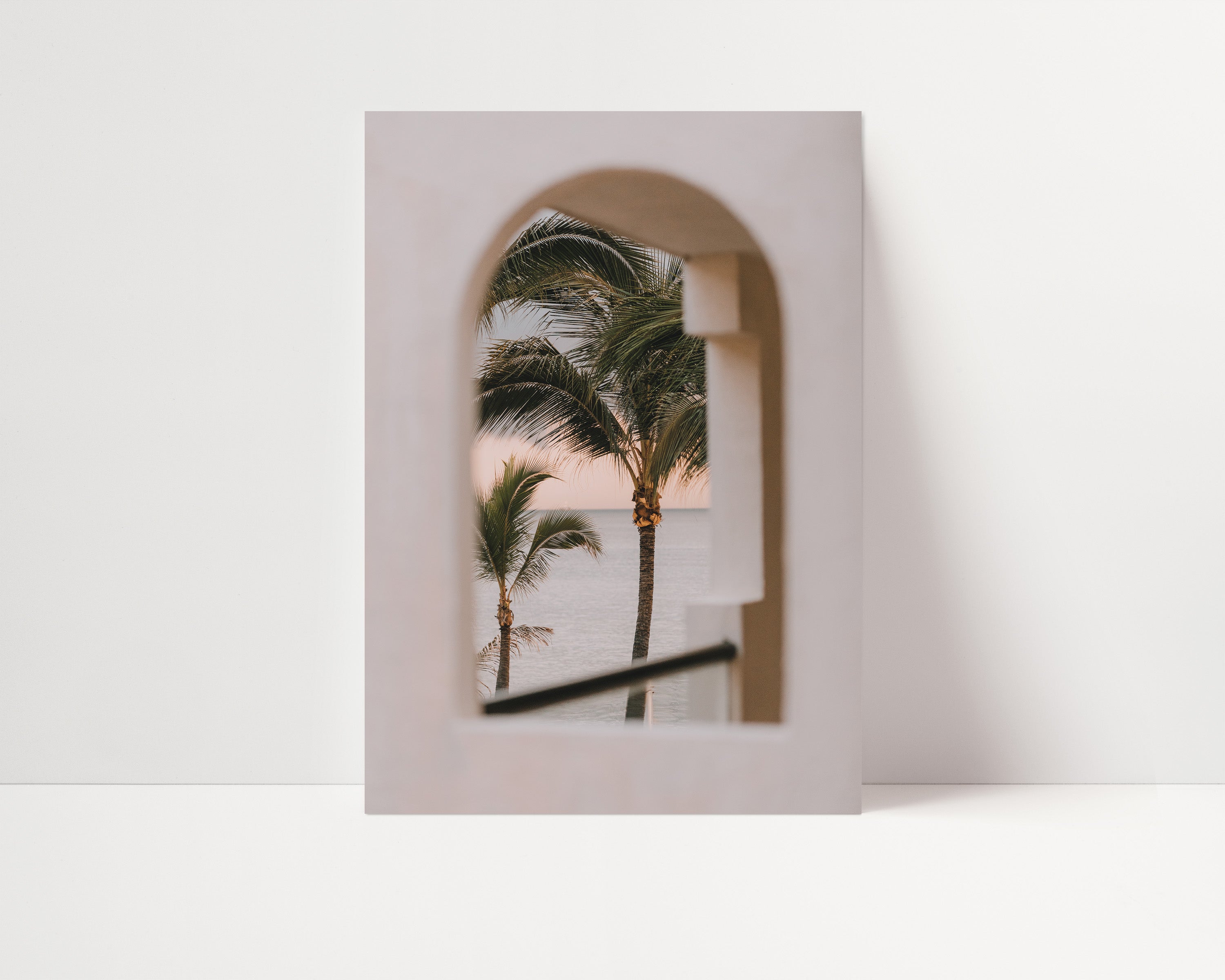 Palms Through Arch - Signy