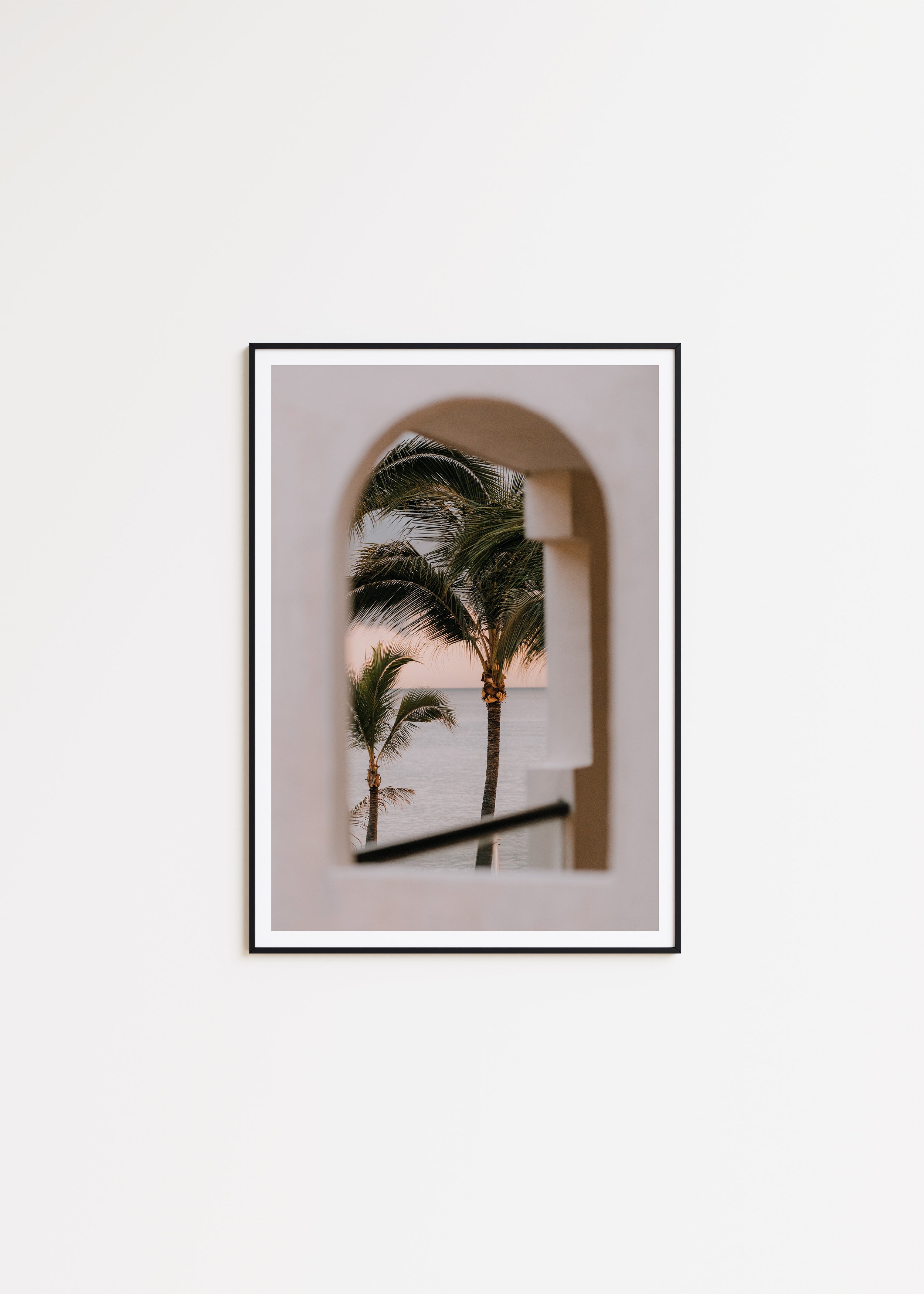 Palms Through Arch - Signy